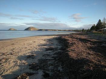 Wintergarden Beach Cabin Victor Harbor Exterior foto